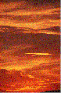 f41dcb_d597fd7f122c45a5a2f1a55044a42cb5~mv2